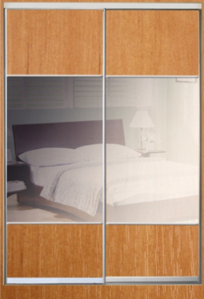 Шкаф купе Стандарт-1  ДСП/Тонированное зеркало-10 1000*2100*450 двухдверный