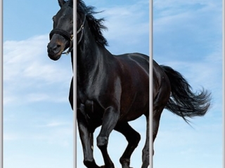 Шкаф купе Стандарт-1 Животные-16 2200*2000*450 трехдверный