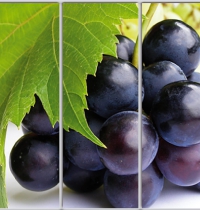 Шкаф купе Стандарт-1 Еда и напитки-47 2200*2200*600 трехдверный