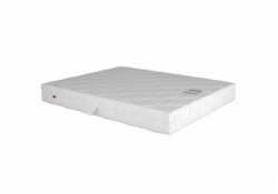 Матрас ортопедический София New 120*190 см