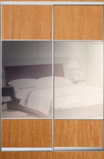 Шкаф купе Стандарт-1  ДСП/Тонированное зеркало-10 1000*2100*450 двухдверный